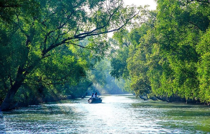  Con người đã sinh sống và thích nghi tại Sundarbans hàng thế kỷ. Cộng đồng địa phương sống bằng đánh cá, thu mật ong rừng và khai thác tài nguyên bền vững, gắn bó chặt chẽ với nhịp điệu thủy triều. Ảnh: Pinterest.