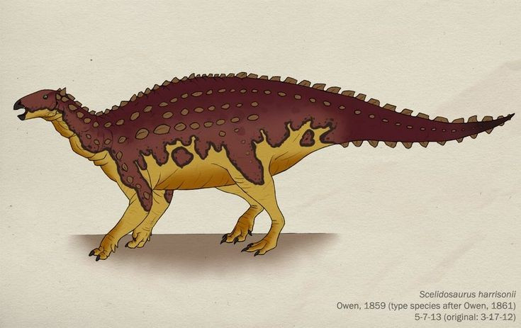  Được phát hiện từ thế kỷ 19. Hóa thạch Scelidosaurus được mô tả lần đầu năm 1859, trở thành một trong những loài khủng long bọc giáp được nghiên cứu sớm nhất trong lịch sử cổ sinh vật học. Ảnh: Pinterest.