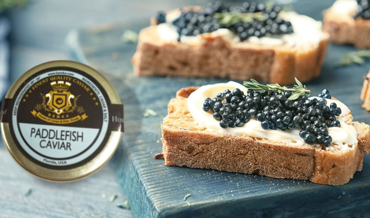  Trứng của chúng được xem là một loại “caviar” đặc biệt. Mặc dù không phải cá tầm thật sự, trứng của cá tầm thìa Mỹ vẫn được chế biến thành một loại caviar thay thế. Ảnh: Pinterest.