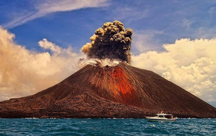  Từng chịu ảnh hưởng từ thảm họa núi lửa Krakatoa. Vụ phun trào của núi lửa Krakatoa năm 1883 đã tàn phá khu vực xung quanh, nhưng thiên nhiên Ujung Kulon đã phục hồi mạnh mẽ. Ảnh: Pinterest.