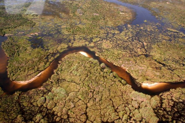  Nước lũ đến vào mùa khô. Lũ từ cao nguyên Angola mất nhiều tháng để chảy xuống, khiến Okavango ngập nước mạnh nhất khi phần còn lại của Botswana đang khô hạn. Ảnh: Pinterest.
