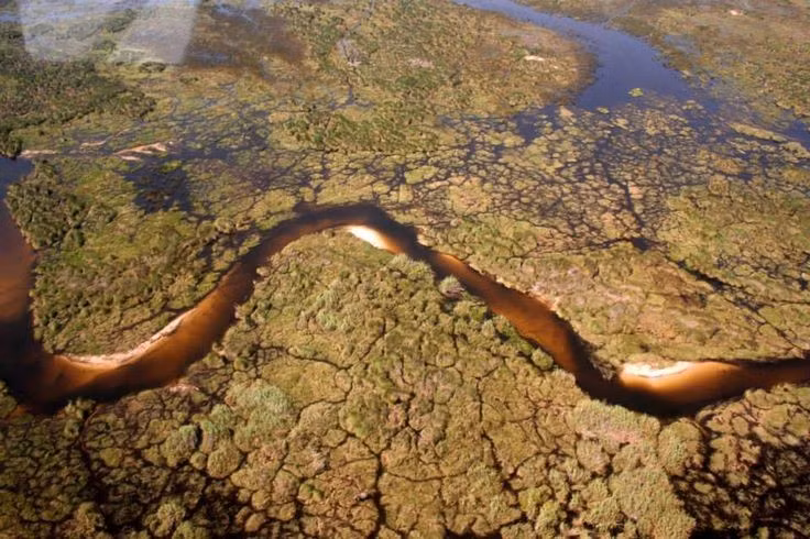  Nước lũ đến vào mùa khô. Lũ từ cao nguyên Angola mất nhiều tháng để chảy xuống, khiến Okavango ngập nước mạnh nhất khi phần còn lại của Botswana đang khô hạn. Ảnh: Pinterest.