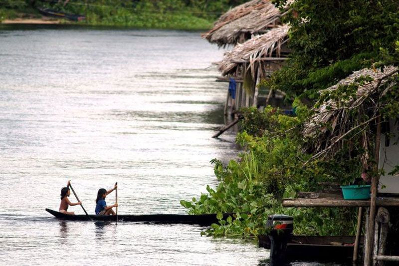  Họ dùng thuyền như phương tiện chính từ nhỏ đến lớn. Trẻ em Warao thường học chèo thuyền từ khi còn rất nhỏ, bởi mọi hoạt động như đánh bắt, thu hoạch hay giao tiếp làng xã đều diễn ra trên nước. Ảnh: Pinterest.