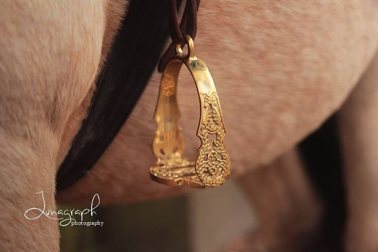  Bàn đạp tạo thế cân bằng vượt trội. Sự ra đời của bàn đạp giúp người cưỡi giữ thăng bằng tốt hơn, đứng lên – ngồi xuống linh hoạt khi di chuyển, đặc biệt quan trọng trong chiến đấu và khi vượt địa hình hiểm trở. Ảnh: Pinterest.