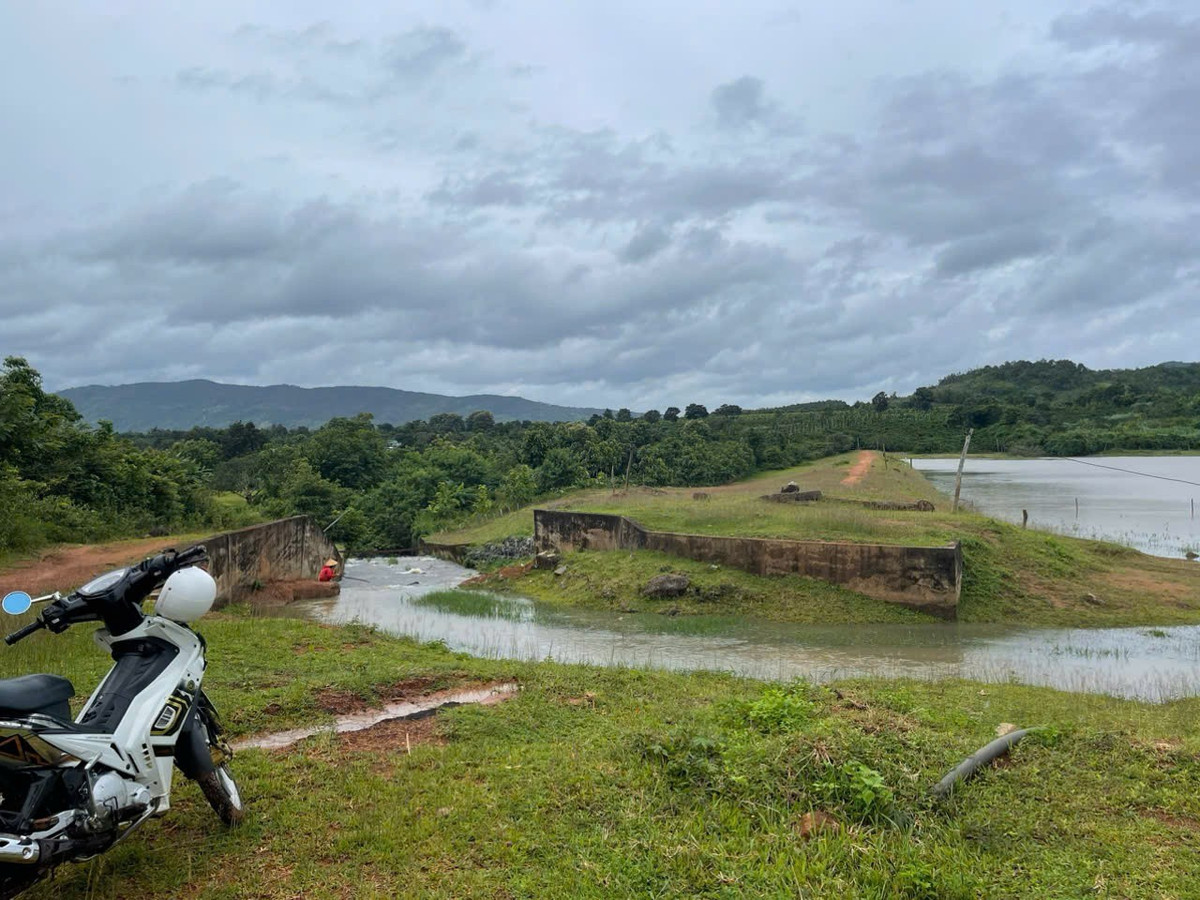 Hồ chứa nước Phù Mỹ xuống cấp nhưng chưa thể sửa chữa.