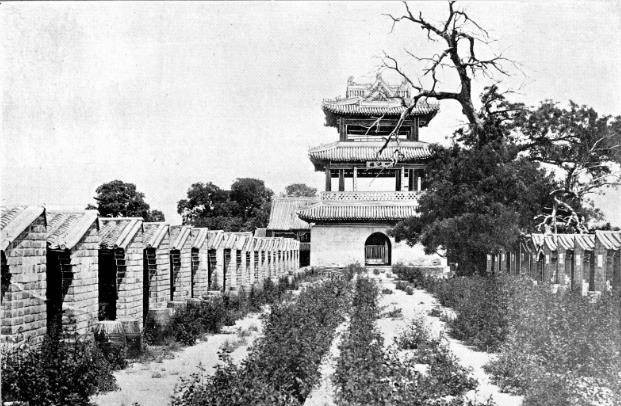 Cống viện, cỏ dại mọc um tùm, là nơi được dùng để tổ chức thi cử thời phong kiến. Chế độ thi cử của triều đình là sáng kiến quan trọng giúp thay đổi toàn bộ cục diện dân sinh thời bấy giờ, nhưng đã kết thúc ở thời Quang Tự, năm 1905.