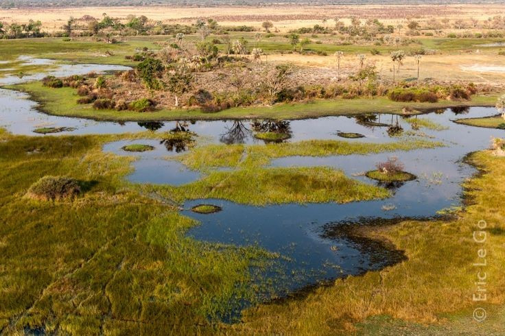  Địa hình luôn biến đổi theo năm. Kênh rạch và đảo nhỏ liên tục thay đổi hình dạng theo mực nước và trầm tích. Ảnh: Pinterest.