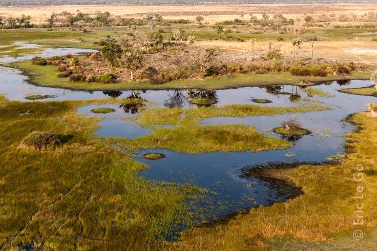  Địa hình luôn biến đổi theo năm. Kênh rạch và đảo nhỏ liên tục thay đổi hình dạng theo mực nước và trầm tích. Ảnh: Pinterest.