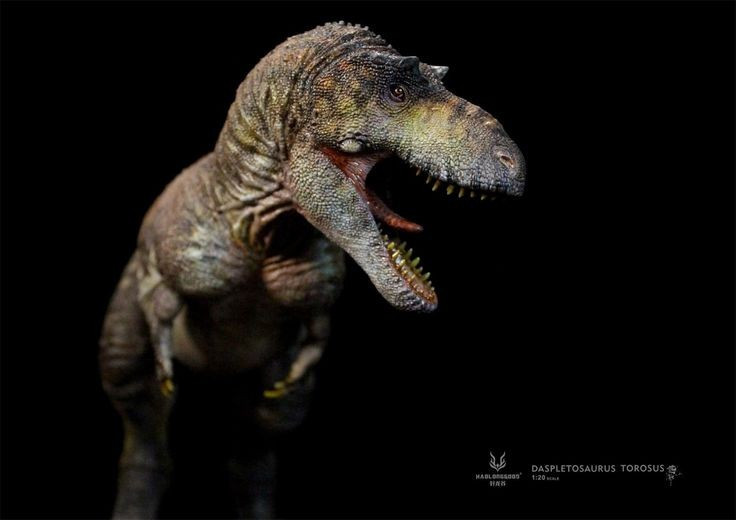  So sánh với động vật hiện đại. Các nhà khoa học thường so sánh khủng long với chim và cá sấu – hai nhóm họ hàng gần nhất còn sống – để suy đoán cách chúng phát âm. Ảnh: Pinterest.