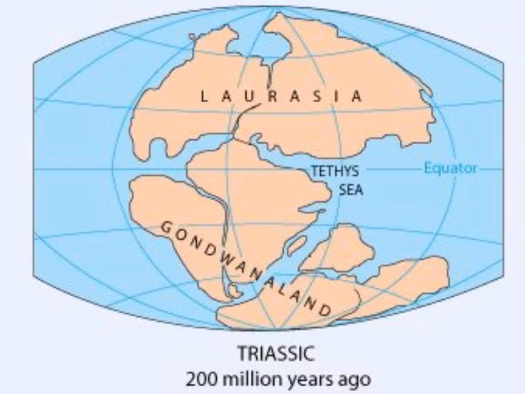  Đây là quê hương của nhiều loài khủng long. Hàng loạt hóa thạch khủng long nổi tiếng được tìm thấy tại các khu vực từng thuộc Gondwana. Ảnh: Pinterest.