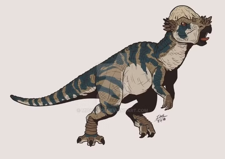  Răng nhỏ và mòn. Răng của Pachycephalosaurus khá nhỏ và có bề mặt mòn nhiều, chứng tỏ chúng không dùng để xé thịt mà thích hợp để nhai lá cây hoặc thực vật mềm. Ảnh: Pinterest.