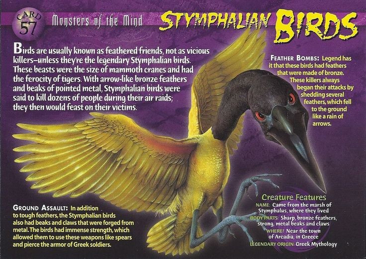  1. Xuất xứ từ hồ Stymphalia. Chim Stymphalian sinh sống quanh hồ Stymphalia ở vùng Arcadia, Hy Lạp, một khu vực hoang sơ bao quanh bởi rừng rậm và đầm lầy. Ảnh: Pinterest.