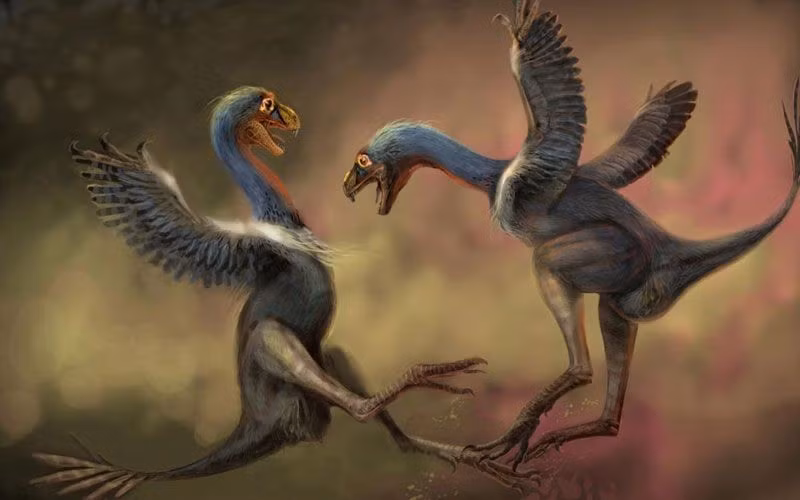  Kích thước nhỏ, cơ thể nhẹ. Incisivosaurus chỉ dài khoảng 1 mét, thân hình mảnh mai, cho phép nó di chuyển linh hoạt trong môi trường rừng rậm, nơi các loài khủng long nhỏ có lợi thế sinh tồn rõ rệt. Ảnh: Pinterest.