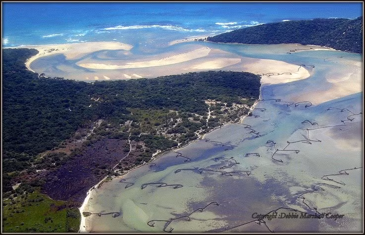  Hệ sinh thái đa dạng hiếm thấy. Công viên ngập nước iSimangaliso bao gồm hồ nước ngọt, đầm phá, rạn san hô, bãi biển cát, rừng ngập mặn và thảo nguyên, tạo nên sự chuyển tiếp sinh thái độc đáo trong một khu vực duy nhất. Ảnh: Pinterest.