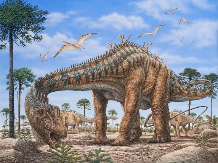 Sở hữu chiếc cổ và đuôi dài ấn tượng. Diplodocus có chiều dài cơ thể lên tới khoảng 24–27 mét, trong đó phần cổ và đuôi chiếm tỷ lệ rất lớn. Chiếc đuôi dài như roi da có thể giúp giữ thăng bằng khi di chuyển và thậm chí tạo ra âm thanh lớn nếu quật mạnh trong không khí. Ảnh: Pinterest.