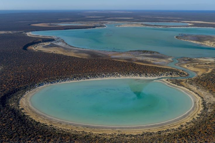  Độ mặn nước biển cao bất thường. Do khí hậu khô hạn và sự trao đổi nước biển hạn chế, một số khu vực trong vịnh có độ mặn cao hơn đại dương, tạo điều kiện cho các sinh vật đặc thù phát triển. Ảnh: Pinterest.