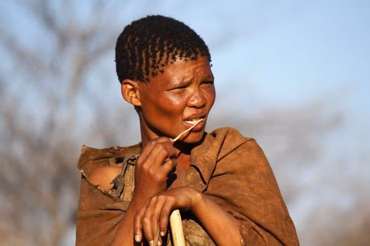  Đang đối mặt với nhiều thách thức hiện đại. Ngày nay, Người San phải đối mặt với mất đất, thay đổi môi trường và áp lực hội nhập, đe dọa lối sống truyền thống của họ. Ảnh: Pinterest.