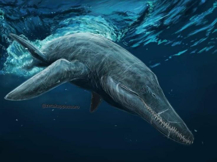  5. Có bốn chi vây phát triển mạnh mẽ. Pliosaurus di chuyển bằng cách quạt nước nhịp nhàng với cả bốn chi giống mái chèo, giúp nó bơi nhanh và linh hoạt trong đại dương. Ảnh: Pinterest.