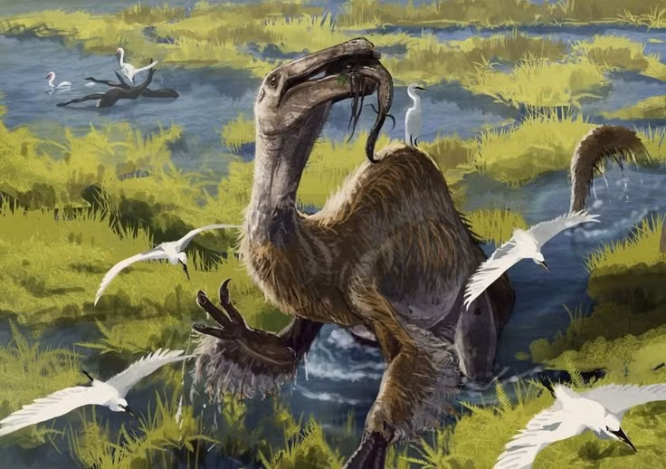  Sống gắn liền với môi trường đầm lầy cổ đại. Cấu trúc xương và trầm tích đi kèm cho thấy Deinocheirus thường sống gần sông, hồ và vùng đất ngập nước. Ảnh: Pinterest.