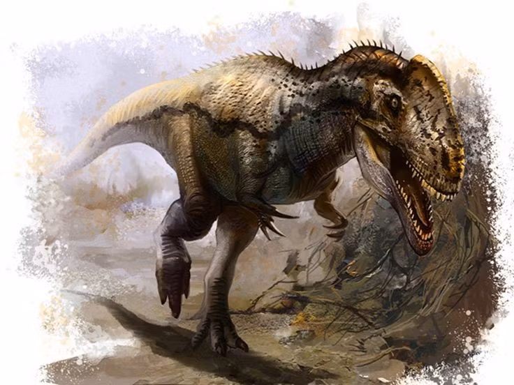  Kích thước trung bình so với các loài khủng long thuộc nhóm theropod khác. Monolophosaurus dài khoảng 5–6 mét và nặng vài trăm kilogram, nhỏ hơn nhiều so với các theropod khổng lồ xuất hiện sau này nhưng vẫn là một động vật săn mồi đáng gờm trong hệ sinh thái của nó. Ảnh: Pinterest.