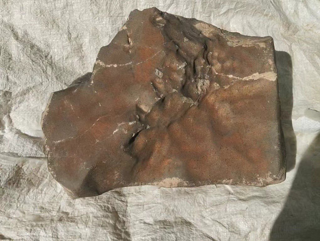 Thiên thạch này có kích thước lớn vượt trội, chiếm gần 7% tổng khối lượng đá Sao Hỏa từng được con người thu thập, và nặng gấp 1,7 lần khối lớn thứ hai. Ảnh: wikimedia.