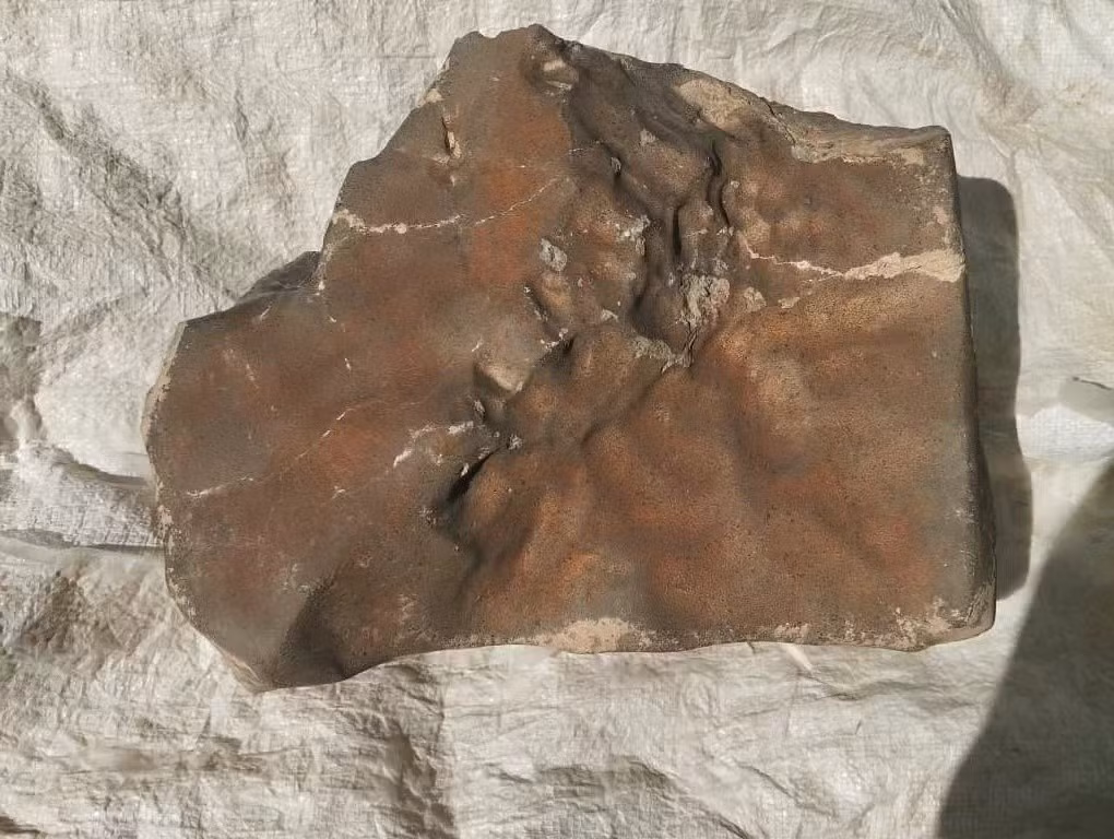 Thiên thạch này có kích thước lớn vượt trội, chiếm gần 7% tổng khối lượng đá Sao Hỏa từng được con người thu thập, và nặng gấp 1,7 lần khối lớn thứ hai. Ảnh: wikimedia.