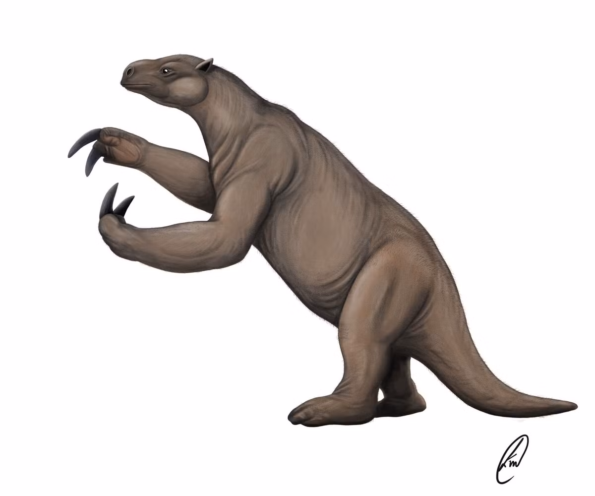  8. Tuyệt chủng cách đây hàng ngàn năm. Mylodon biến mất khoảng 10.000 năm trước, có thể do biến đổi khí hậu và săn bắt của con người. Ảnh: Pinterest.