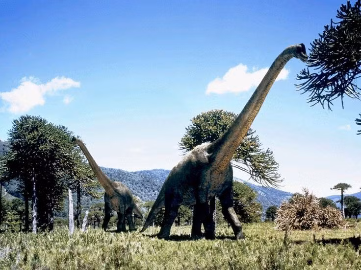  8. Được giới thiệu rộng rãi qua loạt phim "Jurassic Park". Sự xuất hiện ấn tượng của Brachiosaurus trong bộ phim kinh điển năm 1993 đã giúp loài khủng long này trở thành hình ảnh biểu tượng trong văn hóa đại chúng. Ảnh: Pinterest.