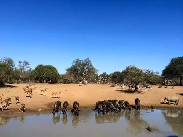  Tên gọi mang ý nghĩa đặc biệt. Trong tiếng Zulu, “iSimangaliso” có nghĩa là “điều kỳ diệu” hay “điều khiến con người phải kinh ngạc”, phản ánh chính xác cảm nhận của du khách trước vẻ đẹp tự nhiên nơi đây. Ảnh: Pinterest.