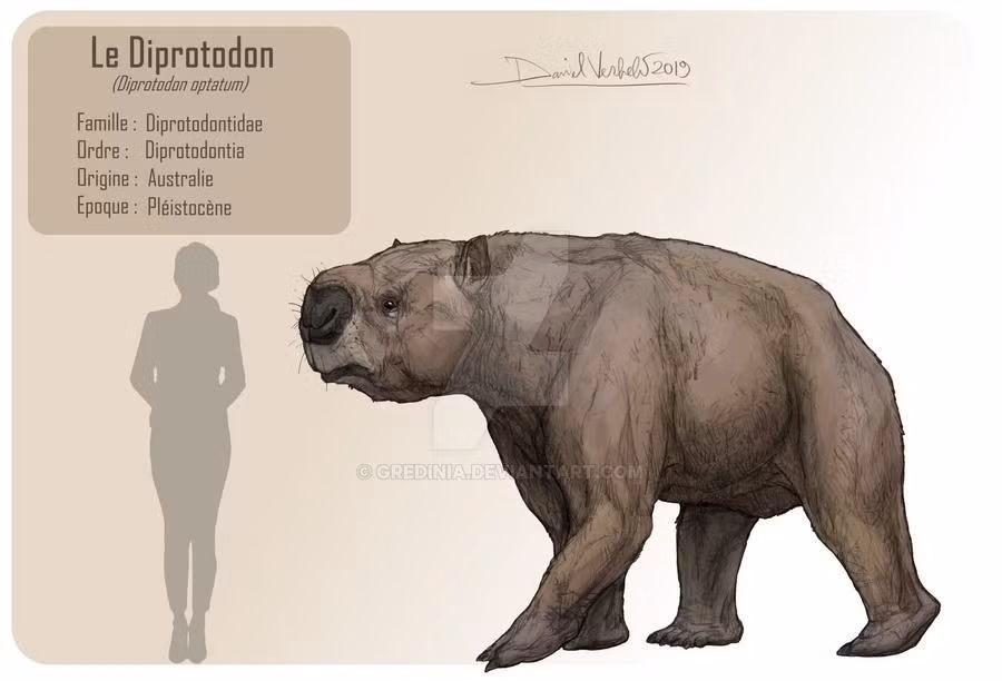  Có túi mang con giống gấu túi. Diprotodon cái có túi lớn để nuôi dưỡng con non, tương tự như các loài thú có túi hiện đại. Ảnh: Pinterest.