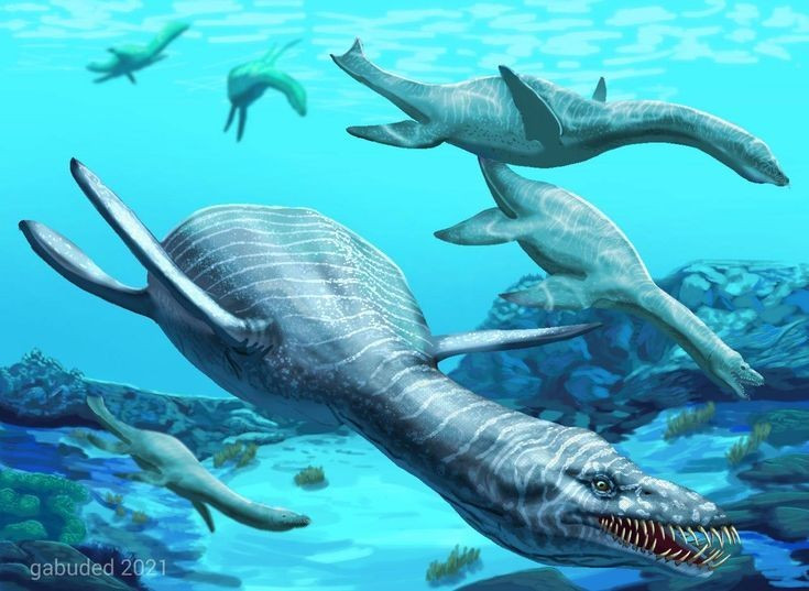  2. Tên gọi mang ý nghĩa “xương đòn ẩn giấu”. Cái tên Cryptoclidus xuất phát từ cấu trúc xương đòn khó thấy, đặc điểm giải phẫu đặc biệt của loài này. Ảnh: Pinterest.