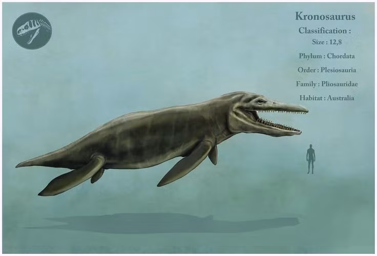  Thuộc nhóm pliosaur. Đây là một nhánh bò sát biển thuộc họ pliosauridae, họ hàng với plesiosaur nhưng có cổ ngắn và đầu to hơn. Ảnh: Pinterest.