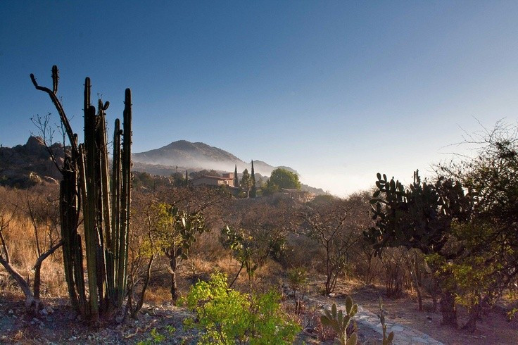  Được UNESCO công nhận Di sản Thế giới. Năm 2018, Tehuacán–Cuicatlán được UNESCO ghi danh nhờ giá trị nổi bật về sinh học, khảo cổ và văn hóa nhân loại. Ảnh: Pinterest.