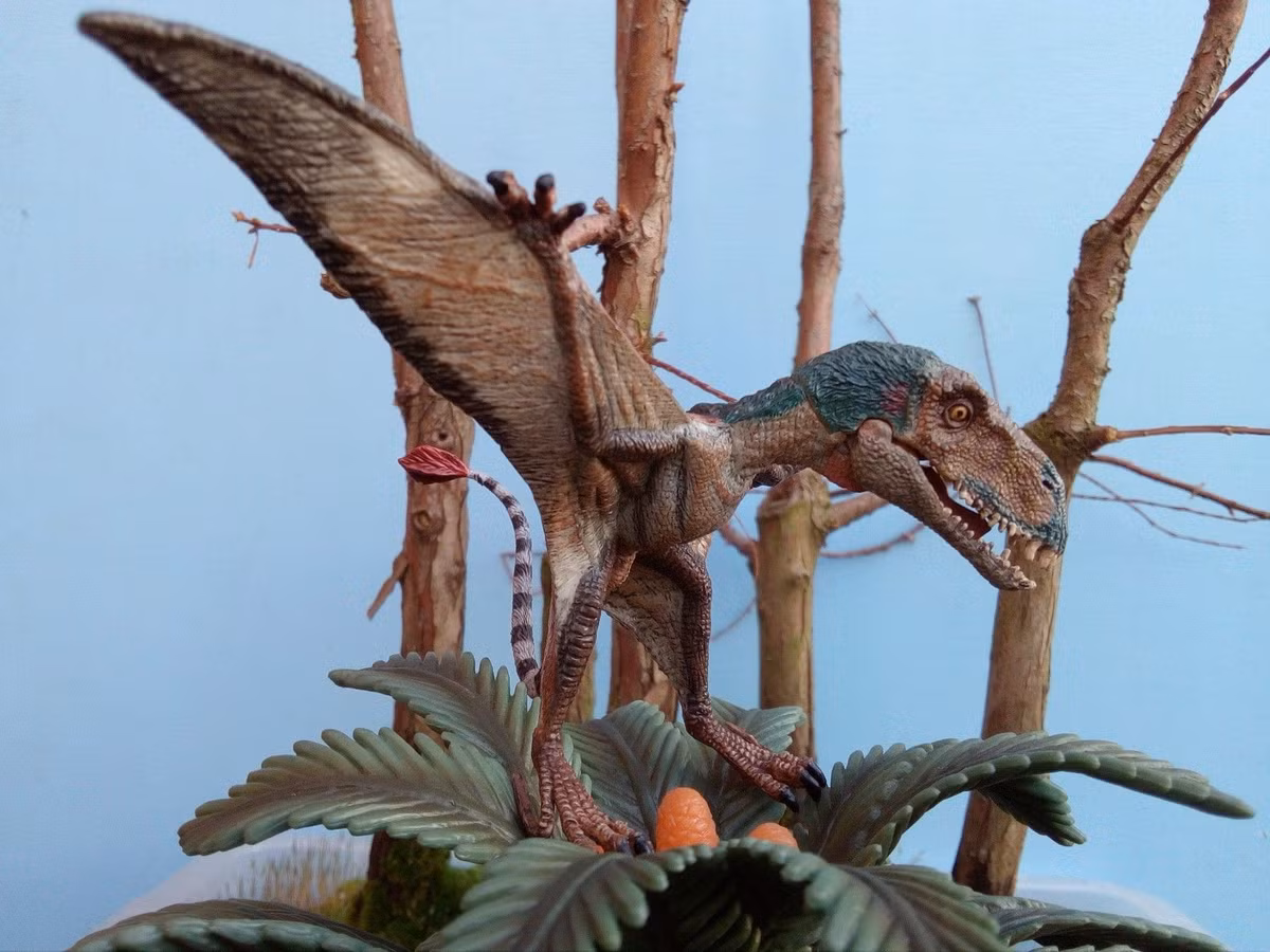 Giúp hiểu rõ sự tiến hóa của bò sát bay. Dimorphodon là mắt xích quan trọng giữa các loài pterosaur nguyên thủy và những dạng phát triển sau này. Ảnh: Pinterest.