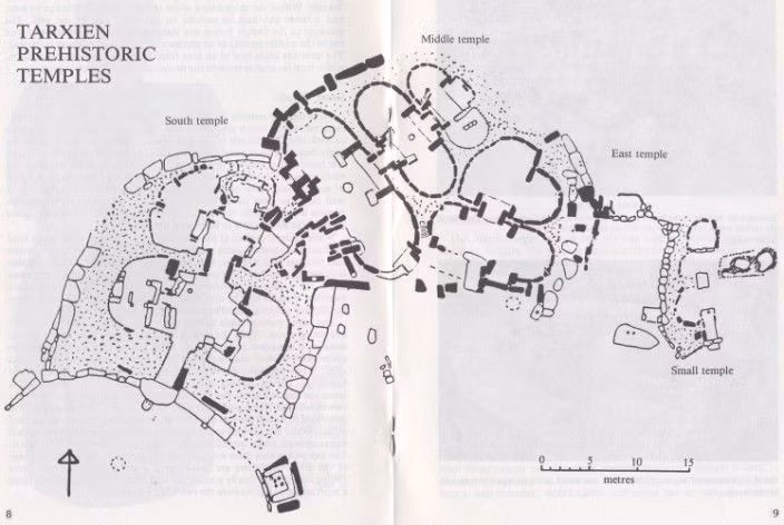  Cấu trúc gồm nhiều đền liền kề. Tarxien gồm bốn khu vực kết nối, tạo thành một phức hợp tôn giáo phức tạp. Ảnh: Pinterest.