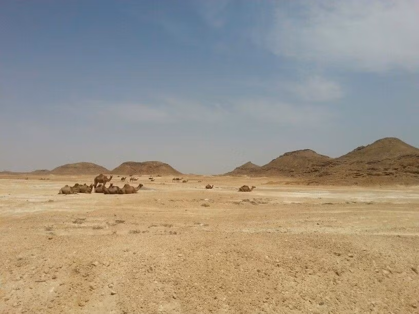  6. Có giả thuyết cho rằng Ubar sụp đổ vì sụt lún địa chất. Người ta tin rằng giếng nước khổng lồ dưới lòng đất bị sụp đổ đã cuốn toàn bộ thành phố xuống dưới lòng cát, khiến nó biến mất trong nháy mắt. Ảnh: Pinterest.