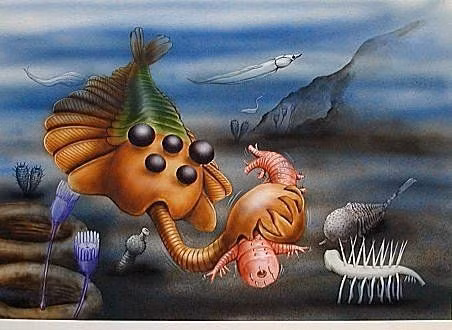  6. Săn mồi nhỏ dưới đáy biển. Chúng có thể ăn các sinh vật nhỏ sống trong bùn hoặc phù sa biển, sử dụng vòi để đào bới và đưa thức ăn vào miệng. Ảnh: Pinterest.