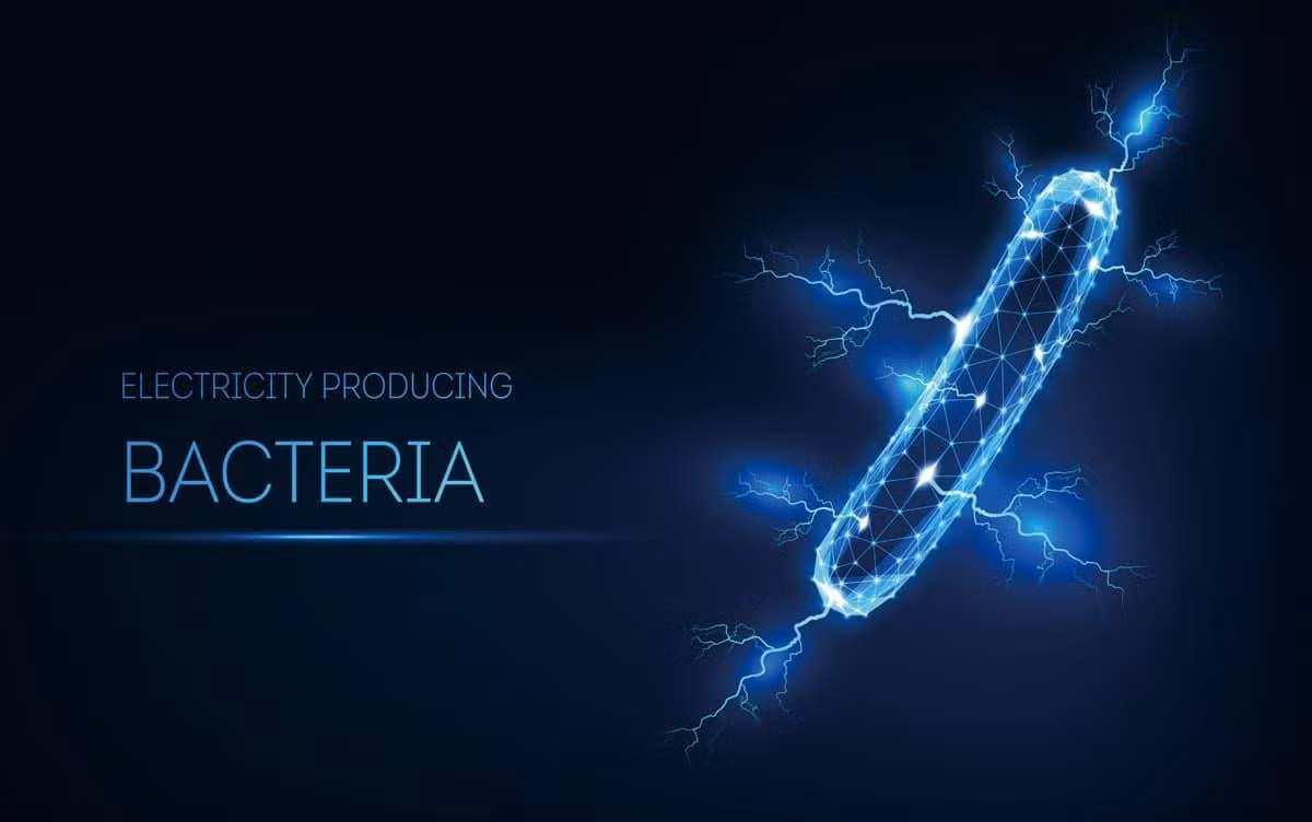  3. Sản xuất điện từ chất thải hữu cơ. Chúng có thể phân giải rác, bùn thải hay các hợp chất hữu cơ và biến năng lượng hóa học thành điện năng. Ảnh: tsukuba.ac.jp.