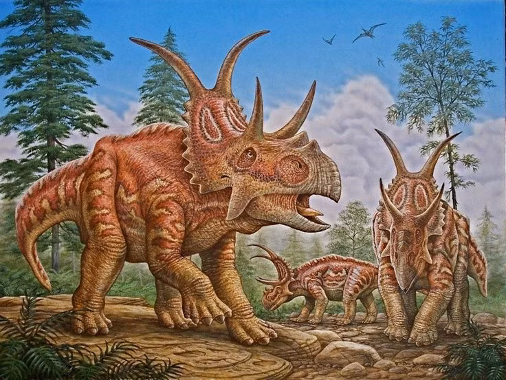  Hóa thạch của chúng được phát hiện năm 1998 tại Utah, Mỹ. Đây là phát hiện hiếm hoi và quý giá đối với ngành cổ sinh vật học. Ảnh: Pinterest.
