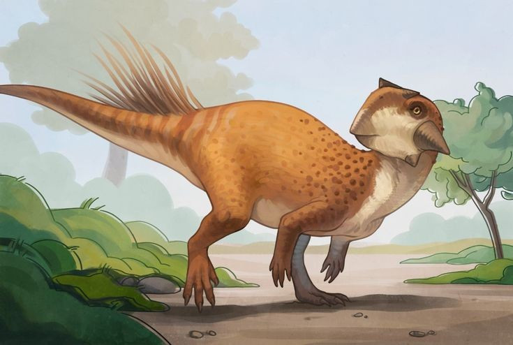  Hóa thạch tập thể của các con non cho thấy tập tính bầy đàn. Việc phát hiện nhiều cá thể non cùng lúc gợi ý Psittacosaurus có thể sống theo đàn. Ảnh: Pinterest.