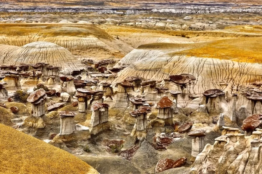 Những tảng đá ở Ah-Shi-Sle-Pah có kích thước lớn, nhạt màu với một khối đá hình mũ tròn phía trên. Nhiều người nhận thấy chúng khá giống cây nấm.