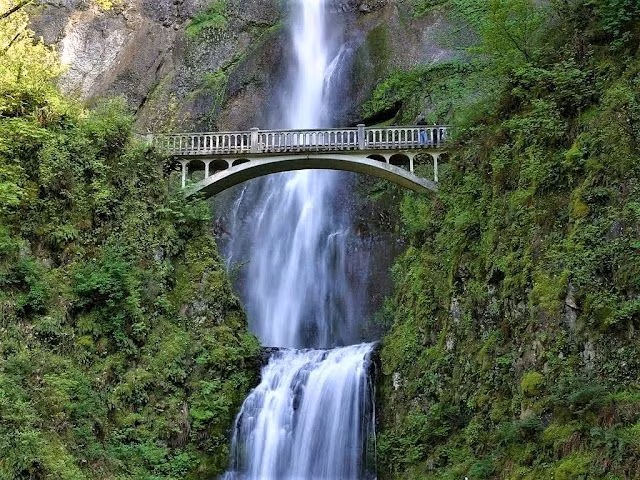  Là Di sản Thế giới nổi bật của Colombia. Los Katíos National Park được UNESCO công nhận là Di sản Thế giới năm 1994 nhờ giá trị sinh học đặc biệt và vai trò quan trọng trong việc bảo tồn các hệ sinh thái nhiệt đới. Đây là một trong những khu bảo tồn thiên nhiên quan trọng nhất của Colombia. Ảnh: Pinterest.