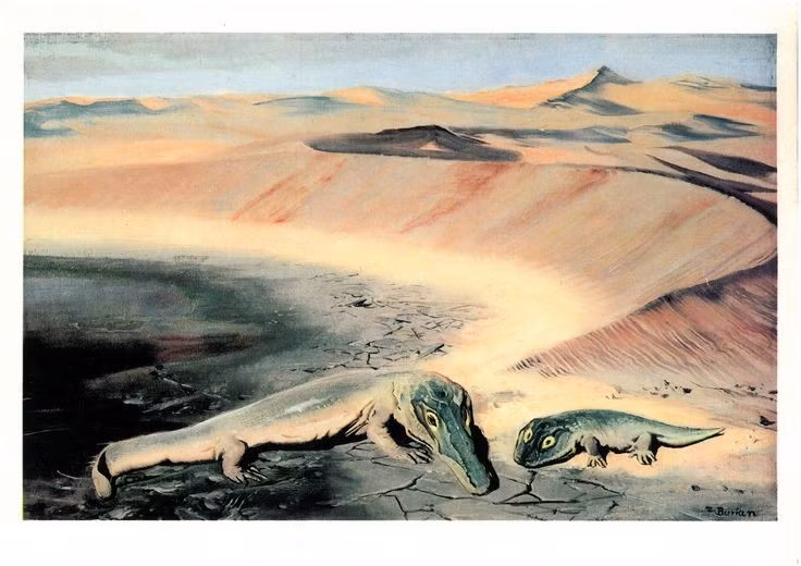  Sống cách đây hơn 290 triệu năm. Archegosaurus từng sinh tồn vào cuối kỷ Permi, trước sự kiện tuyệt chủng lớn nhất hành tinh. Ảnh: Pinterest.