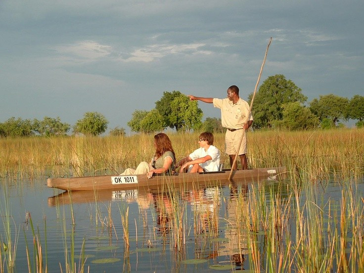  Giao thông truyền thống bằng thuyền mokoro. Người bản địa di chuyển bằng thuyền độc mộc, nhẹ nhàng lướt qua các kênh nước nông. Ảnh: Pinterest.