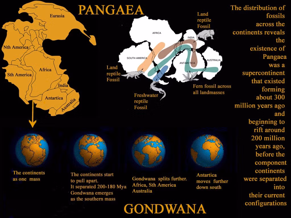  Dấu vết Gondwana vẫn tồn tại dưới đáy biển. Các mảnh địa chất cổ đại hiện nằm sâu dưới Ấn Độ Dương và Nam Đại Tây Dương. Ảnh: megalongcc.com.au.
