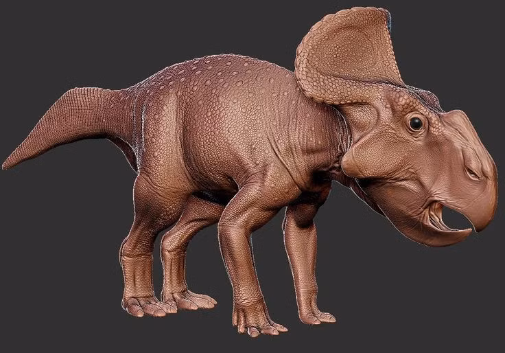  3. Không có sừng lớn. Thay vì sừng, chúng chỉ có một vành xương sọ kéo dài ra sau đầu trông như chiếc mào. Ảnh: Pinterest.