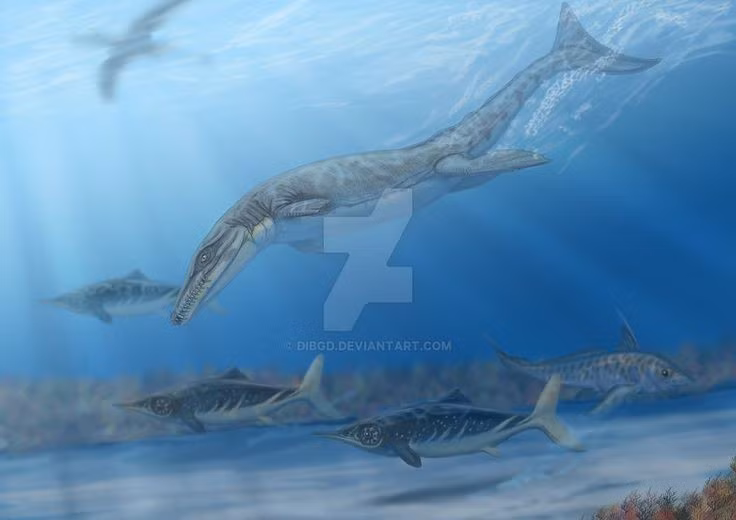  Da trơn, không có giáp xương. Khác cá sấu ngày nay, Geosaurus mất lớp giáp lưng để giảm lực cản khi bơi. Ảnh: Pinterest.