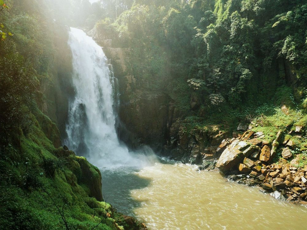 Vai trò sinh thái then chốt đối với lưu vực sông. Quần thể rừng này là nguồn cung cấp nước quan trọng cho nhiều con sông lớn, góp phần điều hòa khí hậu và bảo vệ đất nông nghiệp vùng hạ lưu. Ảnh: khaoyaiconnect.com.