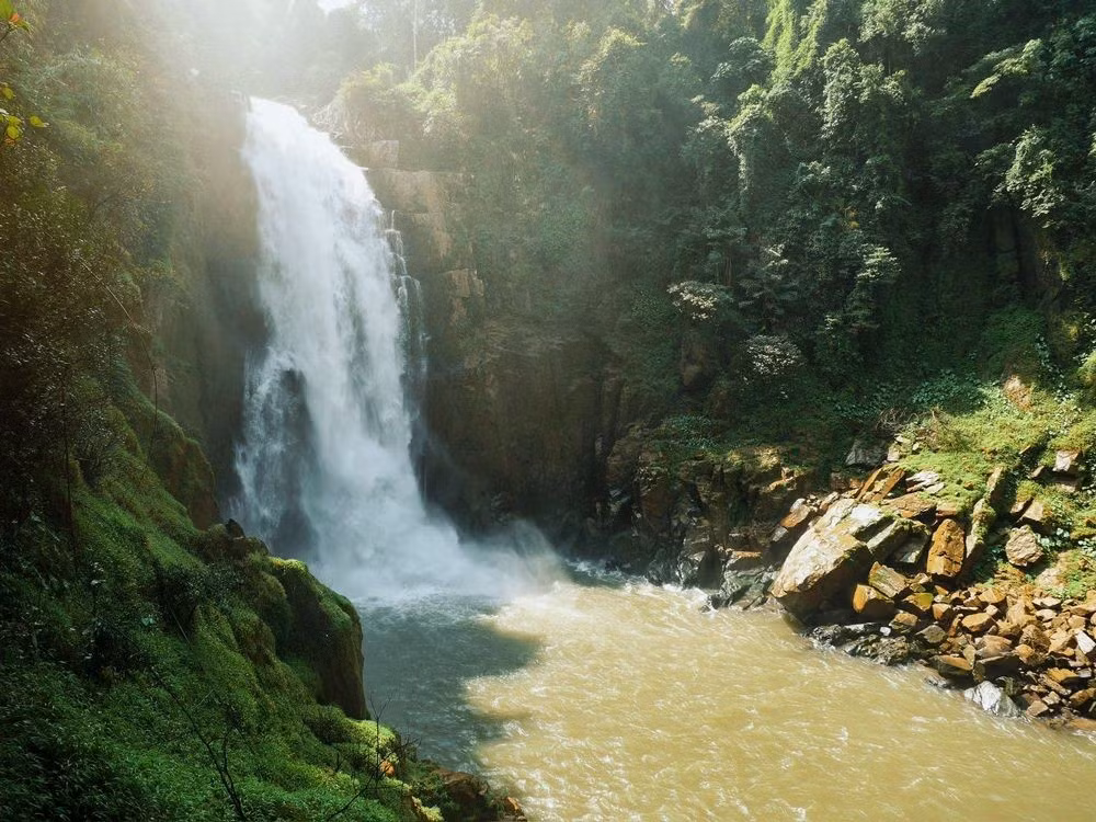  Vai trò sinh thái then chốt đối với lưu vực sông. Quần thể rừng này là nguồn cung cấp nước quan trọng cho nhiều con sông lớn, góp phần điều hòa khí hậu và bảo vệ đất nông nghiệp vùng hạ lưu. Ảnh: khaoyaiconnect.com.