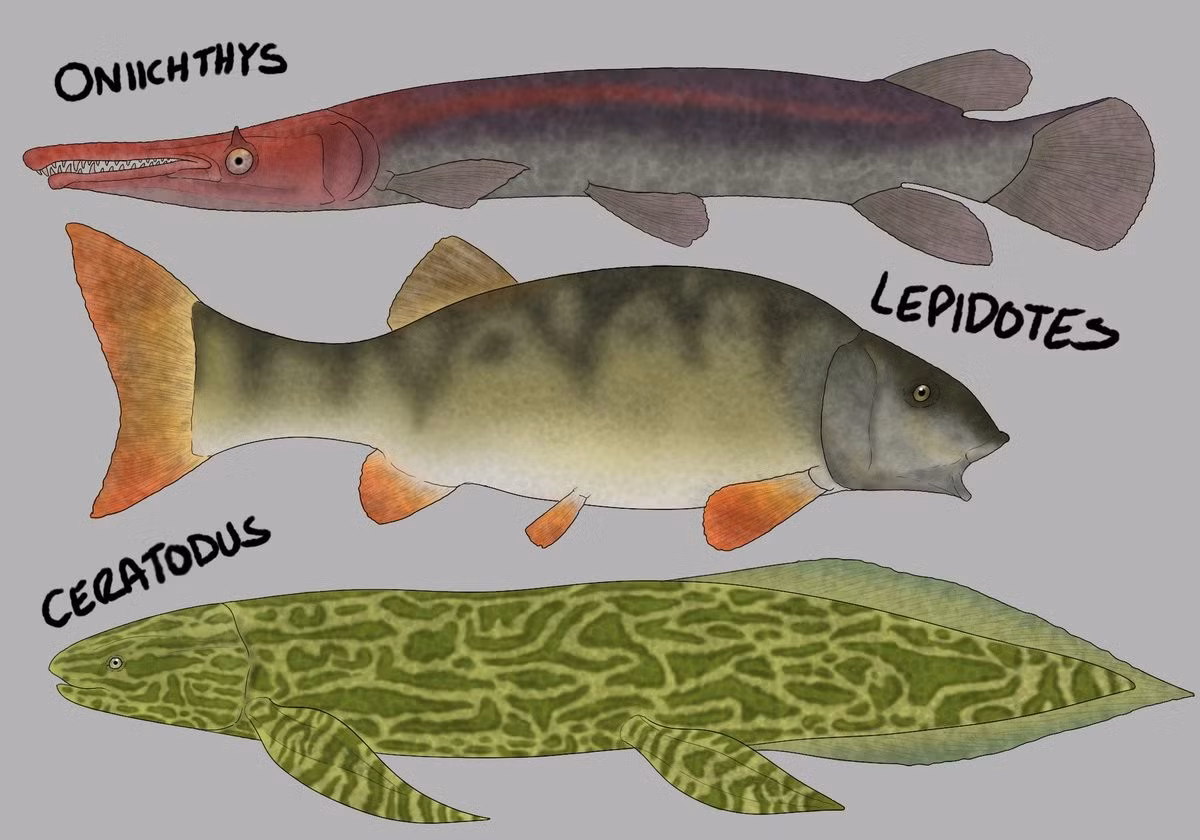  Kích thước vừa phải. Chúng dài khoảng 30–60 cm, tương đương một con cá chép lớn. Ảnh: twimg.com.